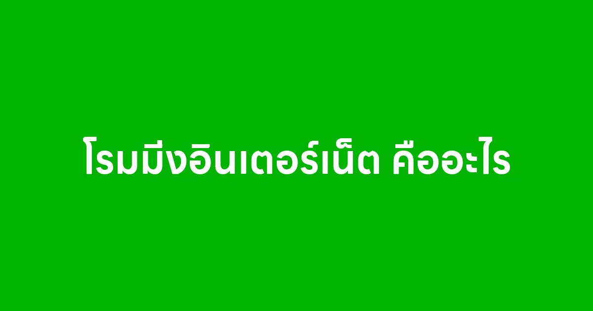 โรมมิ่งอินเตอร์เน็ต คืออะไร