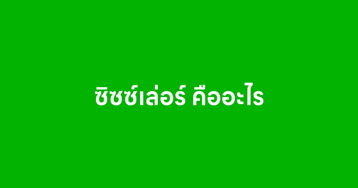 ซิซซ์เล่อร์ คืออะไร