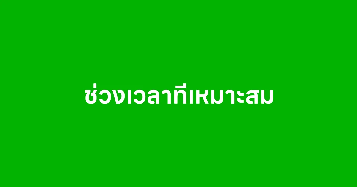 ช่วงเวลาที่เหมาะสม